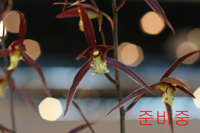 030b2762417613fc48e0c09e6d01ee1b_1457085