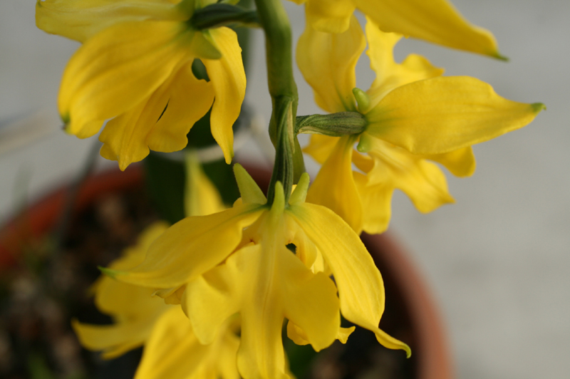 1f4067c34debb68a88e5d49777c83071_1457051