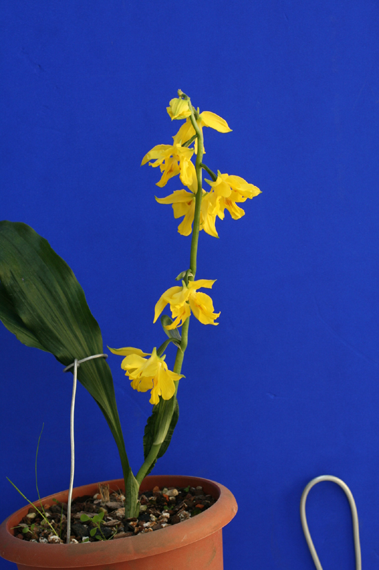 1f4067c34debb68a88e5d49777c83071_1457051