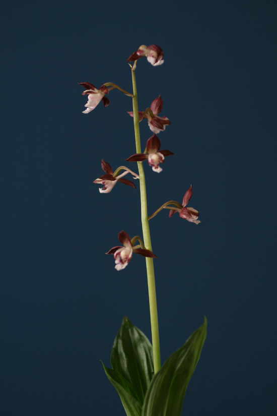 1f4067c34debb68a88e5d49777c83071_1457052