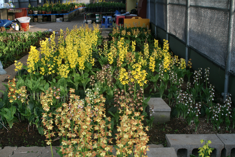 1f4067c34debb68a88e5d49777c83071_1457054