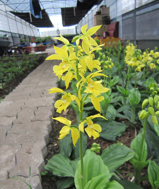 1f4067c34debb68a88e5d49777c83071_1457054