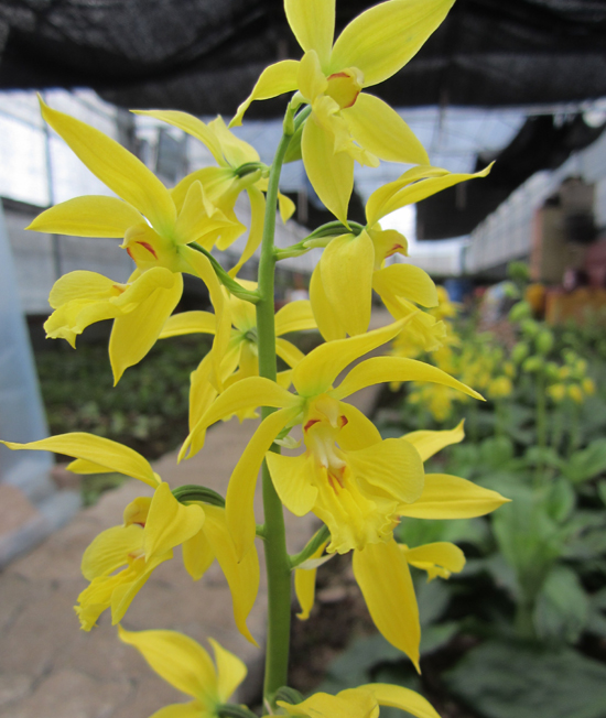 1f4067c34debb68a88e5d49777c83071_1457054