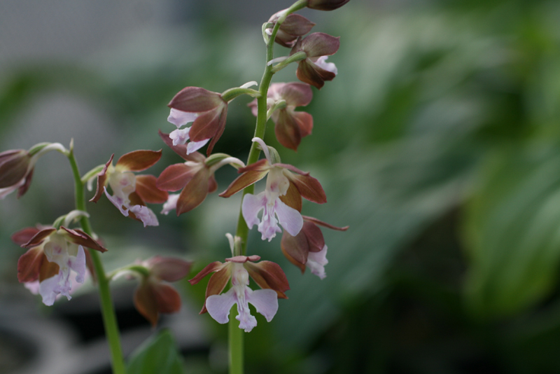 1f4067c34debb68a88e5d49777c83071_1457055