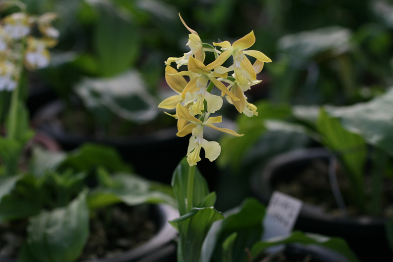 1f4067c34debb68a88e5d49777c83071_1457055