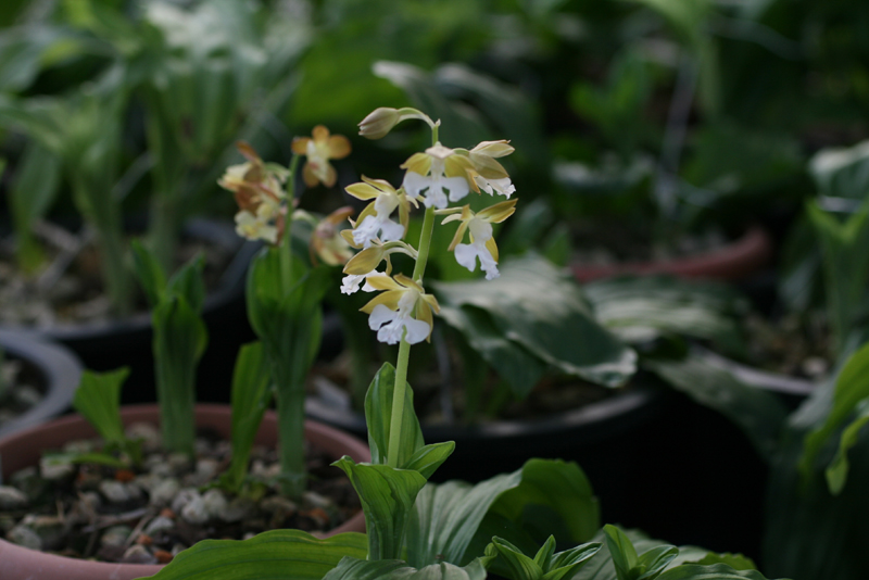 1f4067c34debb68a88e5d49777c83071_1457055