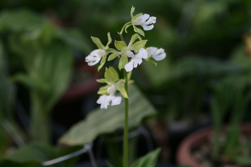 1f4067c34debb68a88e5d49777c83071_1457055