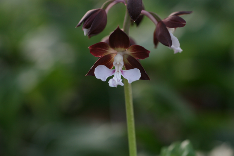 1f4067c34debb68a88e5d49777c83071_1457055