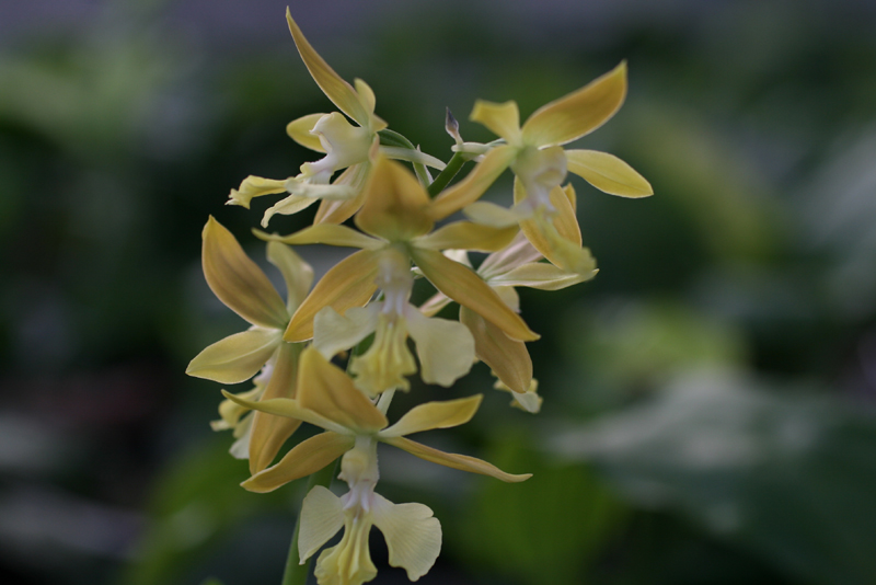 1f4067c34debb68a88e5d49777c83071_1457055