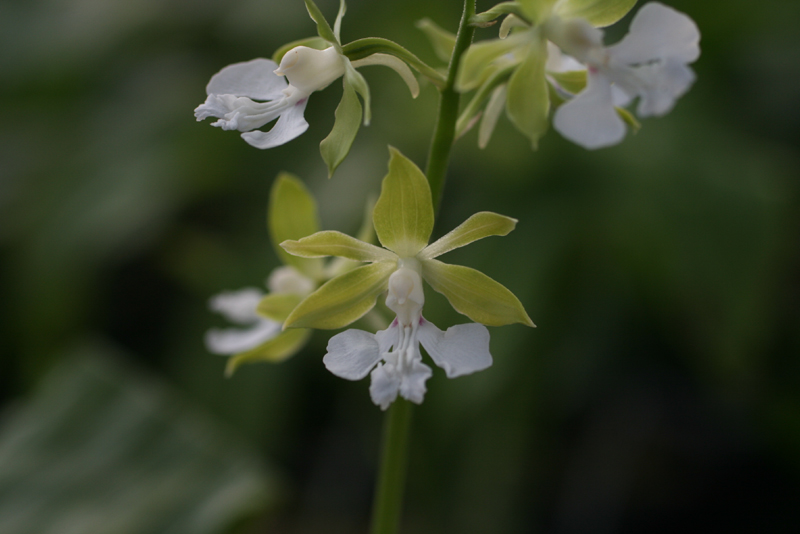 1f4067c34debb68a88e5d49777c83071_1457055