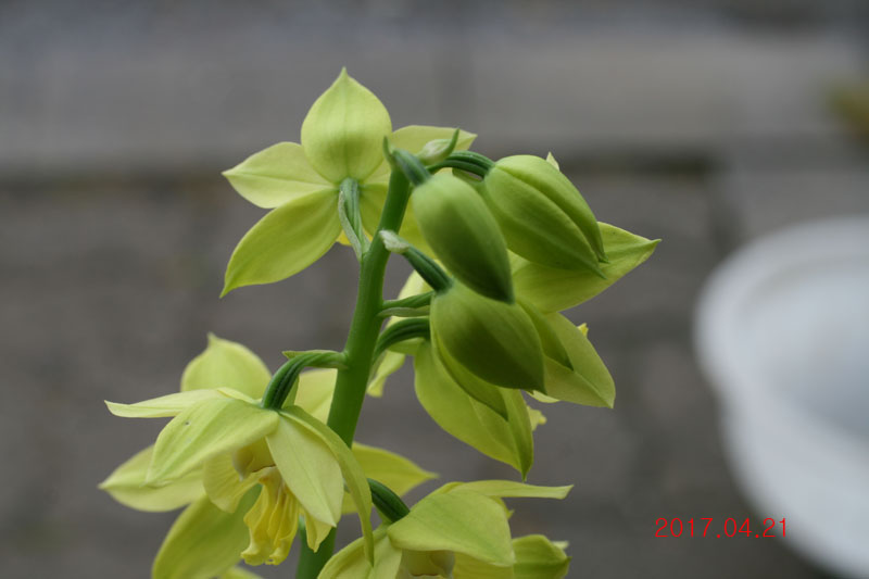 25e48f3d8fe7189f368047f9150d52f9_1492774