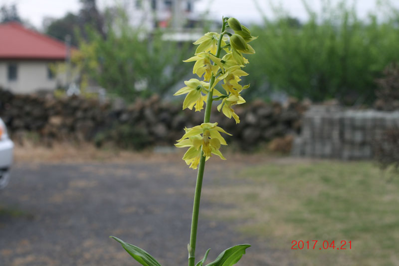 25e48f3d8fe7189f368047f9150d52f9_1492774