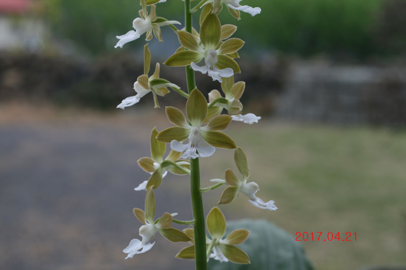 25e48f3d8fe7189f368047f9150d52f9_1492774