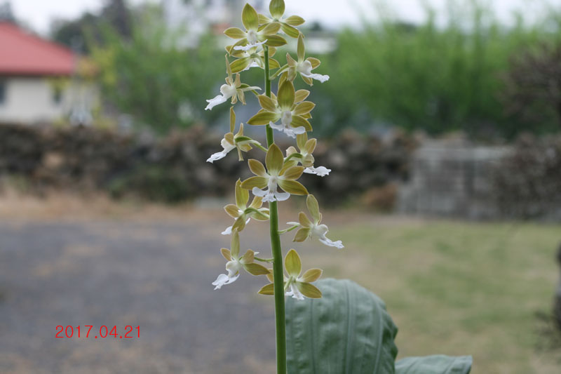 25e48f3d8fe7189f368047f9150d52f9_1492774