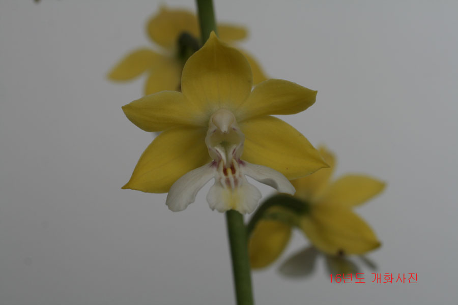 c97b8e0b213fe0d54d11a7fd1d1e7a99_1494330