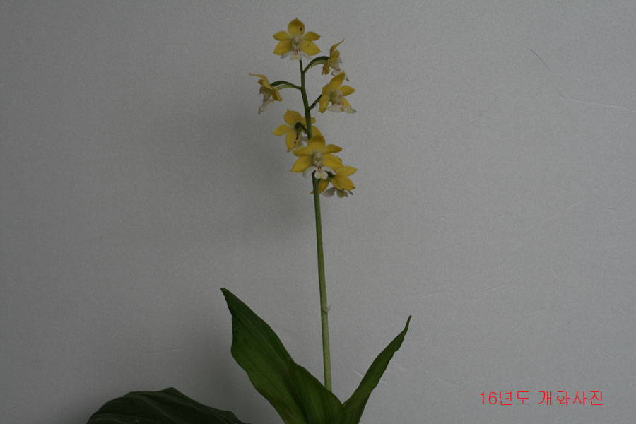 c97b8e0b213fe0d54d11a7fd1d1e7a99_1494330