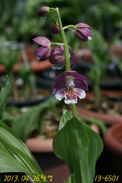 c97b8e0b213fe0d54d11a7fd1d1e7a99_1494330