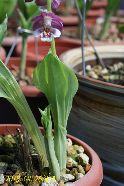 c97b8e0b213fe0d54d11a7fd1d1e7a99_1494330