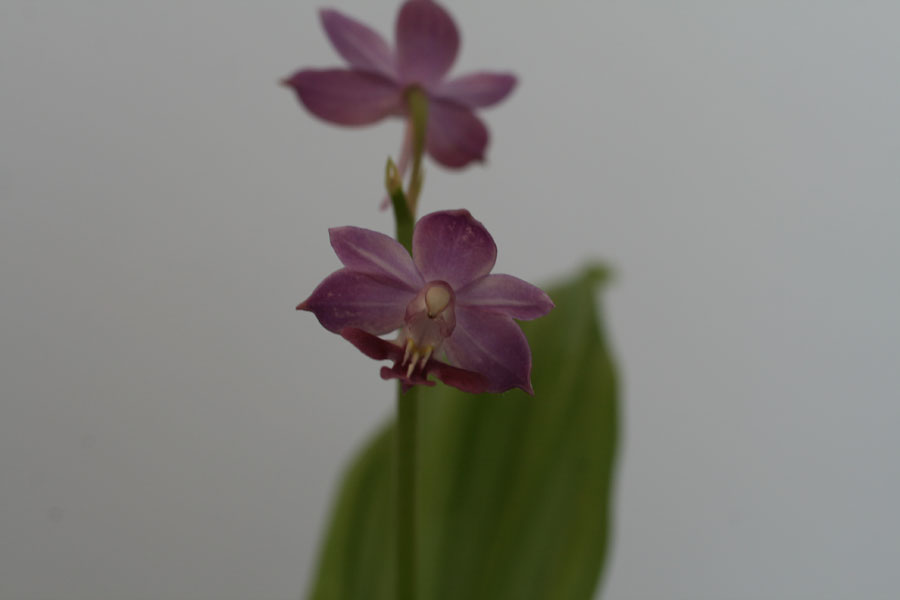 c97b8e0b213fe0d54d11a7fd1d1e7a99_1494330