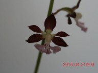 12-적판색설