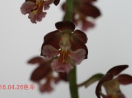 15-적판색설