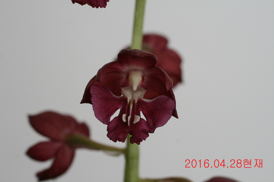 32-적판적설