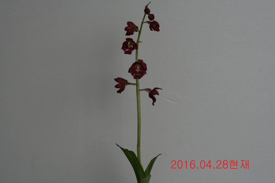 32-적판적설