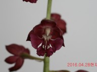 32-적판적설