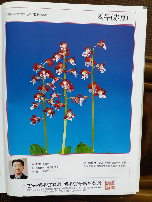 17-22 명명품 