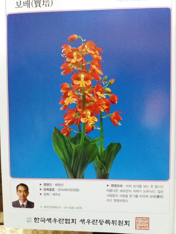 23-14 명명품 