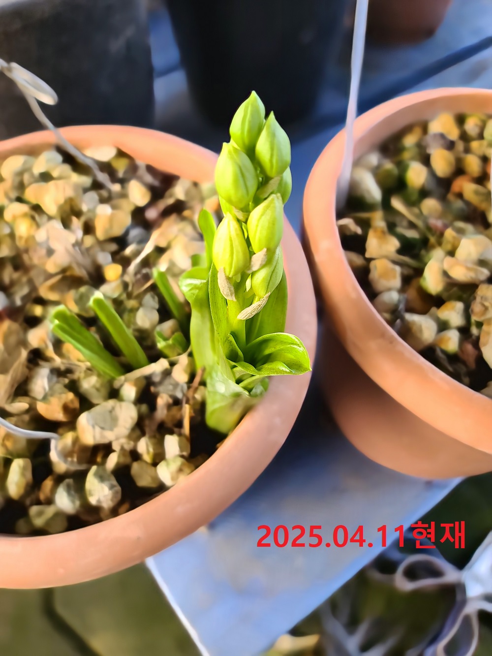 25-21 홍판황설